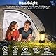Flintronic 2 Stück LED Campinglampe Tragbar, IPX4 Wasserdichte Camping Licht, Batteriebetrieben Campinglampe, Dimmbare COB-Helligkeit & 3 Lichtmodi, für Outdoor, Nachtangeln, Garten, Notfall Ausfälle