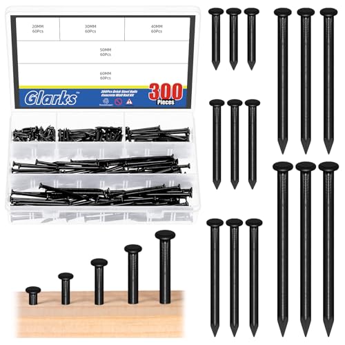 Glarks 300pcs 20/30/40/50/60mm Brick Steel Nails Kit, Black Carbon Steel Hardware Nails, Finishing Nails