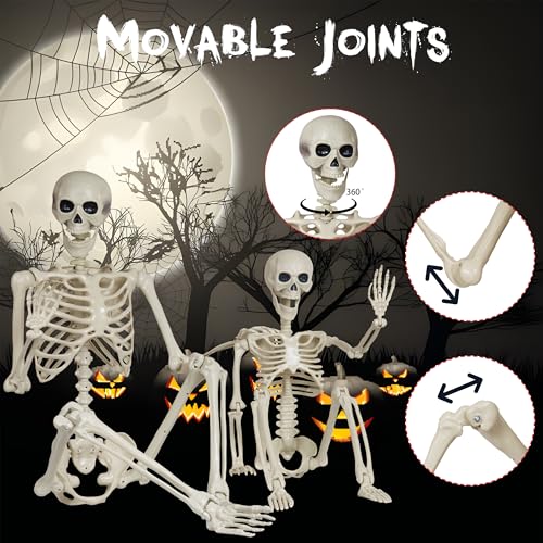 Image of Breesky Skeleton Model for Decoration: 5.4Ft & 3Ft Skeleton with Movable Joints - Plastic Human Bones for Party, Study