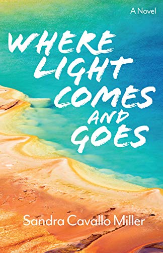 Image of Where Light Comes and Goes: A Novel