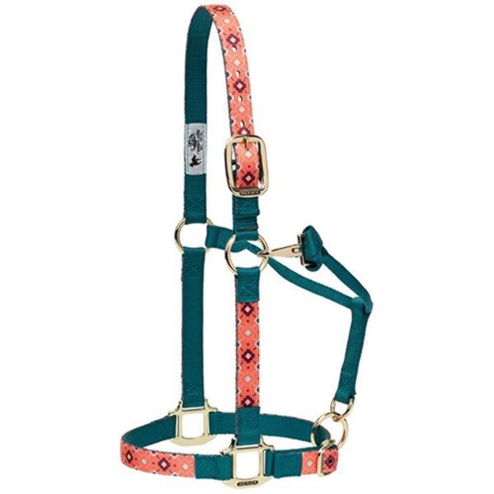Weaver Leather Cavezza regolabile in nylon per cavalli, cactus, cavallo medio