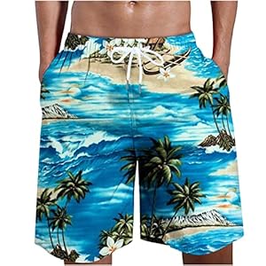 Men’s 2024 Sexy Summer Shorts Leisure Regular Fit Board Shorts Elastic Regular Fit Sweatpants with Drawstring Sports Trousers Comfortable Cut Hiking Trousers Vintage Cargo Shorts