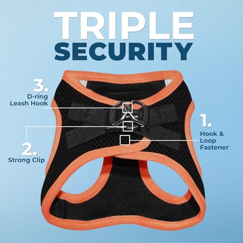 Image of Voyager Step-in Air Dog Harness - All Weather Mesh Step in Vest Harness for Small and Medium Dogs by Best Pet Supplies - Orange Trim, L