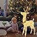 PEIDUO Christmas Reindeer Outdoor Decorations, Lighted Reindeer Yard Decorations with 70 Warm White Lights, 3D White Deer Christmas Decor for Lawn Porch Garden Outside Xmas Holiday, Plug in, 4 FT