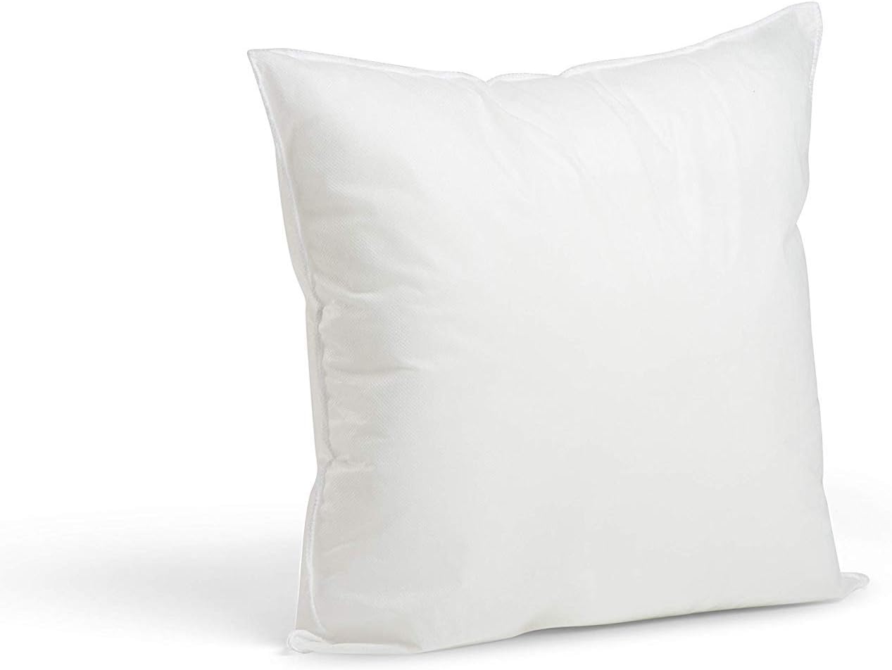 Sophia Art Set of 2 16X16 Square Decorative Throw Pillows Down & Feather Throw Pillow Insert, 100% Cotton, White