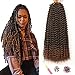 7 Packungen Passion Twist Hair 18 Zoll Bohemian Curl Passion Twist Crochet Flechten Haar Wasserwelle Synthetische Zöpfe für ShowJarlly Passion Twist Crochet Hair (18inch（46cm）, T1B#30)