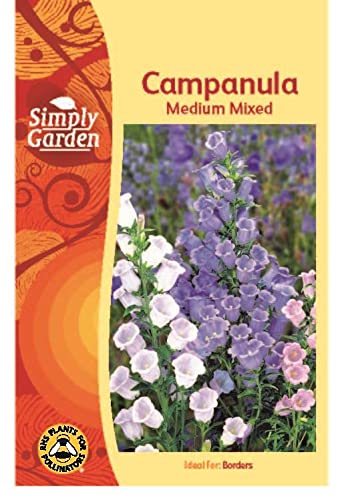 Campanula Medium Mixed Seeds Grow Your Own Colourful Plants