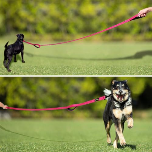 Image of Plutus Pet Double Handle Dog Leash, 6 FT Long, for Medium Large Dogs