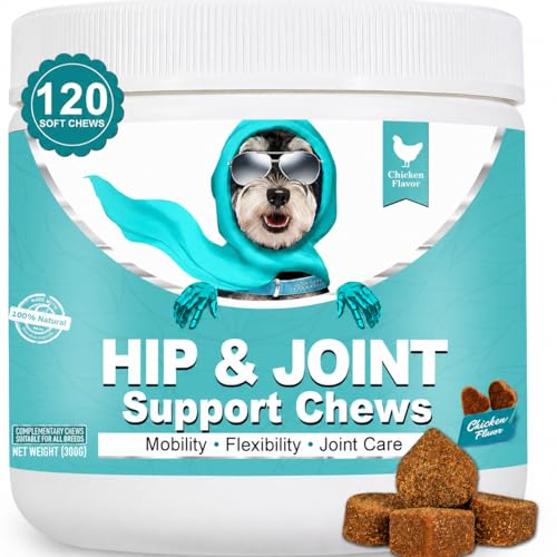 Bailey & Buddies Hip and Joint Supplement for Dogs, 120 Soft Chews with Glucosamine, Chondroitin, MSM and Green-Lipped Mussel, Joint Support for Senior Dogs and All Breeds - Chicken Flavor