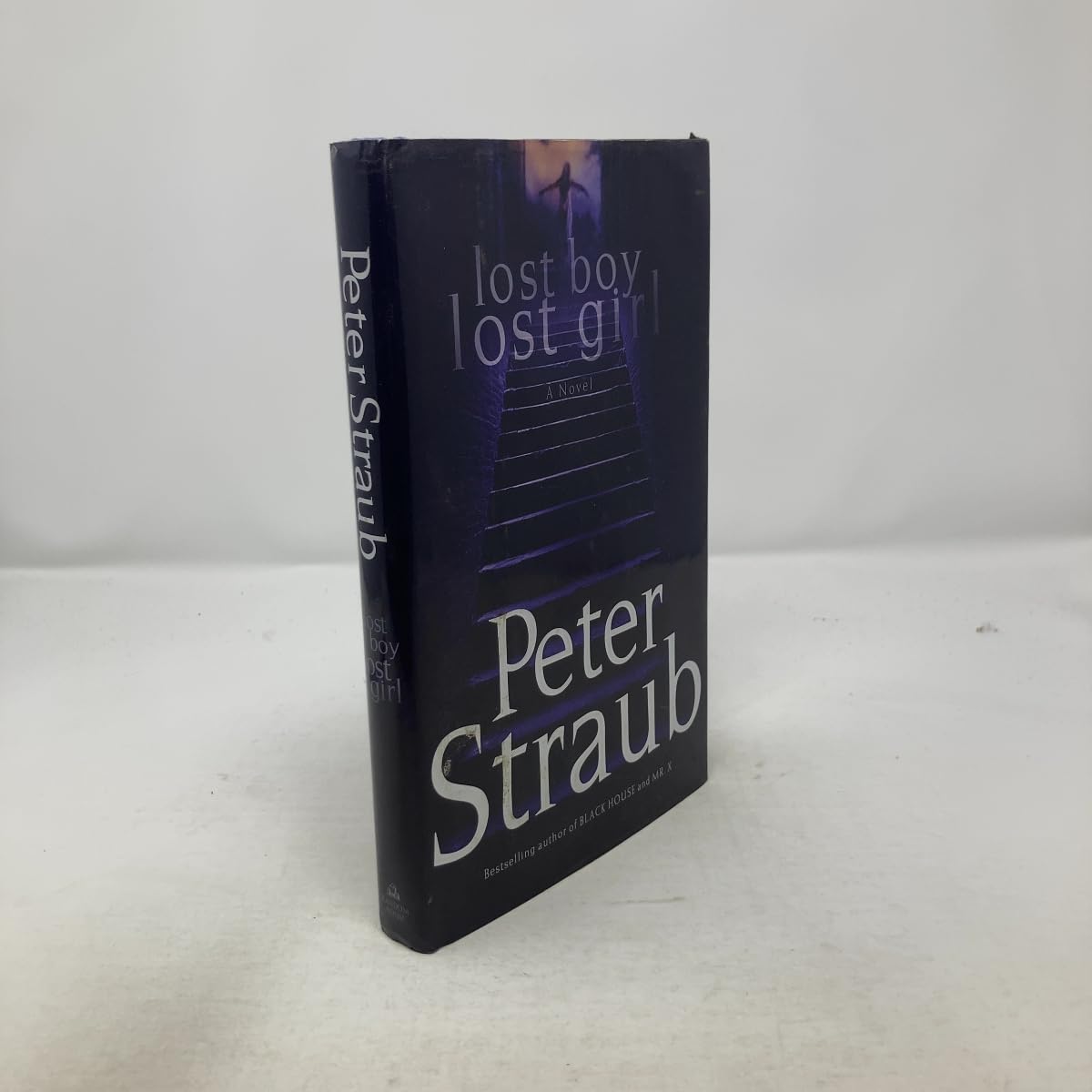 Cover of lost boy lost girl: A Novel