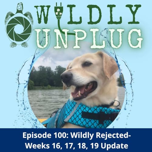 Wildly Rejected Weeks 16, 17, 18, 19 Update