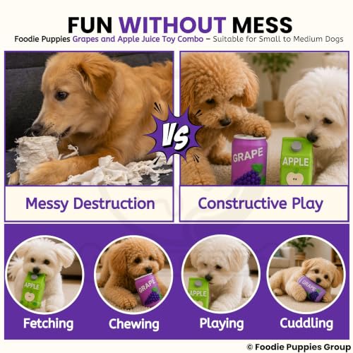 Image of Foodie Puppies Natural Latex Squeaky Play Drink Chew Toy Combo of 2 (Grapes and Apple Juice Toy) for Small to Medium Dogs | Durable, Interactive, Fetch & Chew Safe Play Toy
