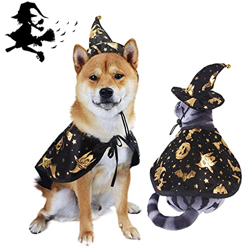 Disfraz Halloween para mascota capa y sombrero miniatura 2