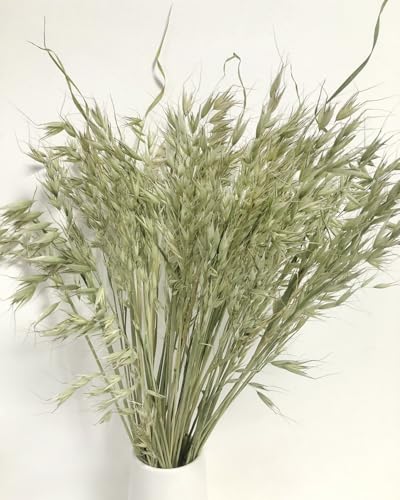 Bouquet de Espigas de Trigo Secas Naturales para Decoración miniatura 3
