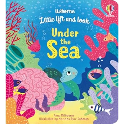 Little Lift and Look Under the Sea