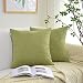 Kevin Textile Solid Velvet Decoration Toss Throw Pillow Case Cushion Cover Comfortable Soft Striped Decorative Pillowcase for Bed/Chair/Couch, 20"x20"(50cm), 2 Pieces, Greenery