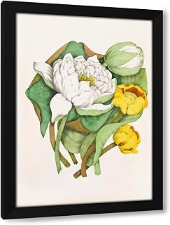 Agnes Fitzgibbon 28x38 Extra Large Black Modern Framed Art Print Titled: Sweet Scented Water Lily, Yellow Pond Lily (1868)