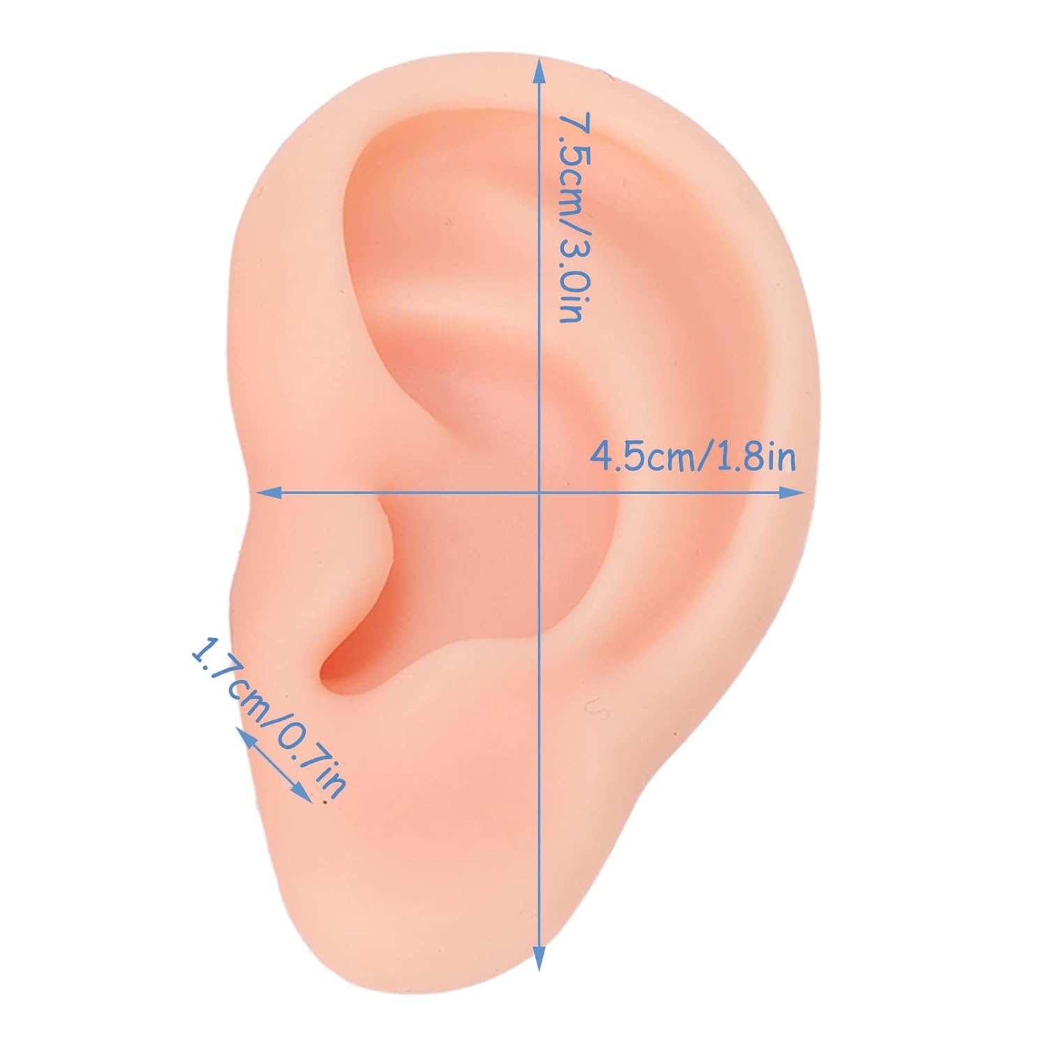 Dioche 1 Pair Silicone Ear Model Piercing Practice Model Silicone Ear Model Ear Body Part Kit for Earrings Display Ear Piercing Exercise (Light Skin Color) - Image 9