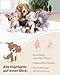 Kuscheltier Hund 20cm - braun - Weiches NICI Plüschtier – niedliches Stofftier zum Kuscheln & Spielen – tolle Geschenkidee für Kinder & Erwachsene | 62136