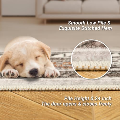 Madane 6x9 Area Rugs for Living Room, Stain Resistant Washable Rugs, Non-Slip Backing Area Rug, Vintage Home Decor Rug for Bedroom (Brown/Gold, 6'x9')