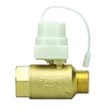 for Floodstop FSAV1NPT Valve Only 1