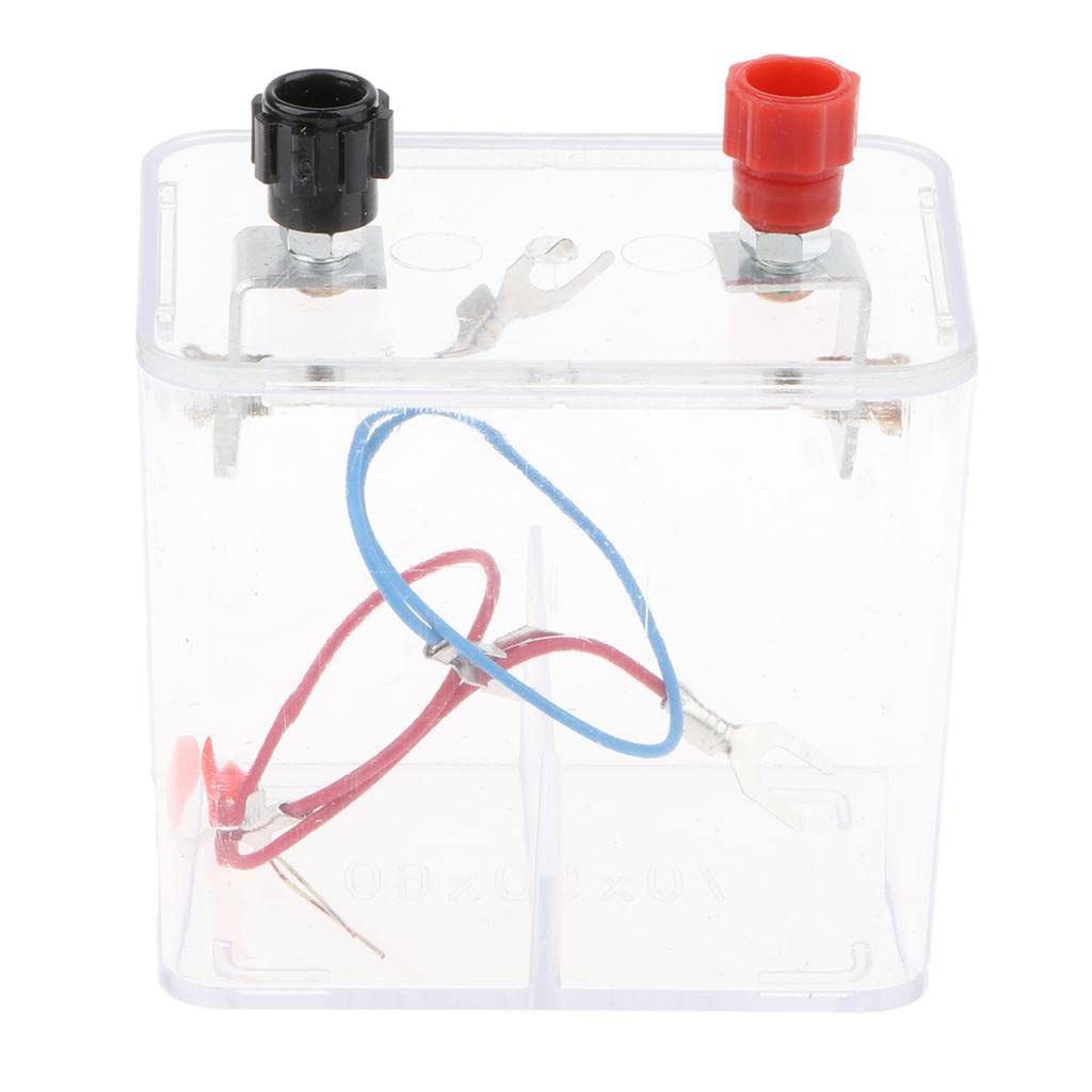 Enakshi Chemical Galvanic Cell Box - Chemistry Primary Cell Experiment Exploring Oxidation Reduction Reaction Energy Conversion Science Toy|Toys & Hobbies | Educational | Science & Nature (B0CG94XHH2) Amazon Price History, Amazon Price Tracker
