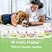 Four Paws Healthy Promise Potty Mouth Tablets - Coprophagia Stool Eating Deterrent for Dogs 90 Count