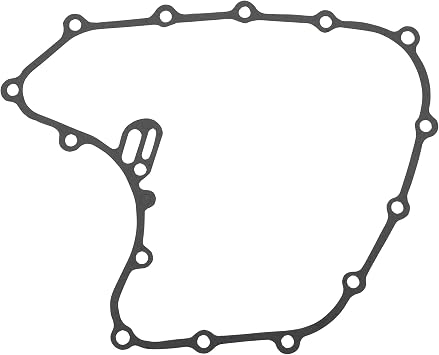 WOOSTAR Engine Stator Cover Gasket Replacement for 2014-2021 RC390 RC 390 2013-2021 Duke390 2020-2022 390ADVENTURE