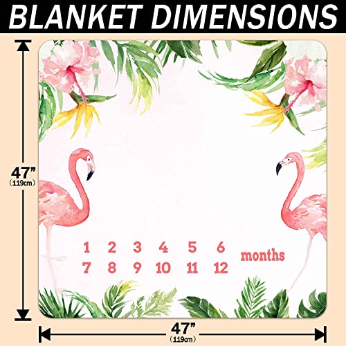 Image of Monthly Milestone Blanket for Baby Girl, Pink Flamingo Tropical Palm Leaf Growth Chart Blanket Baby Pictures, 47 inchx47 inch New Born Photography Backdrop 1-12 Months 4 Frames, 1 Headband, BTXTPH165