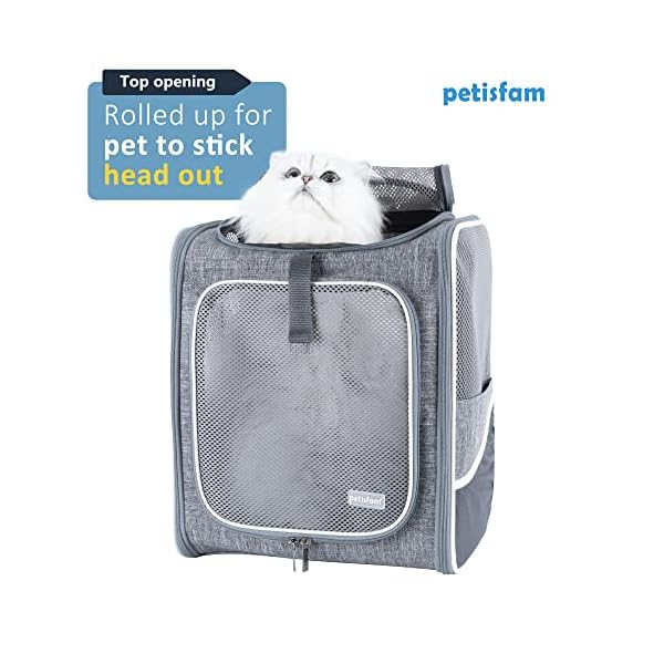 Pet Backpack Carrier for Medium Cats, Kitty, and Puppy - Comfortable & Convenient