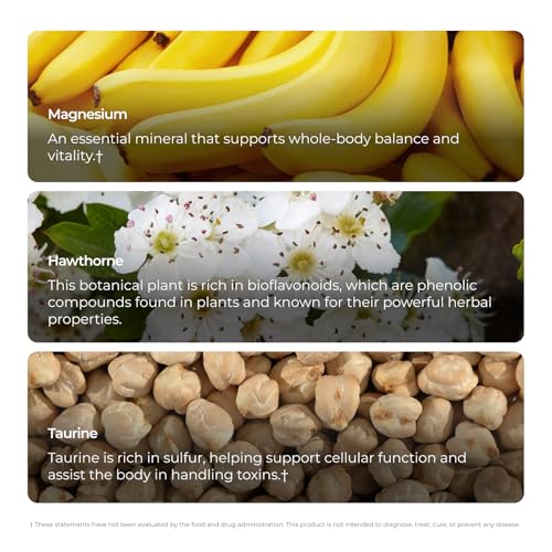 Livingood Daily Blood Pressure Support