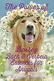 the power of bailey, bach & verbeia essences for animals