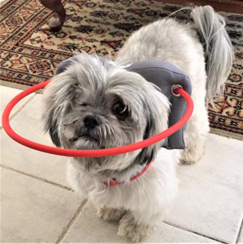 Muffin’s Halo Blind Dog Harness Guide Device – Help for Blind Dogs or Visually Impaired Pets to Avoid Accidents & Build Confidence – Ideal Blind Dog Accessory To Navigate Surroundings – Medium - Image 3