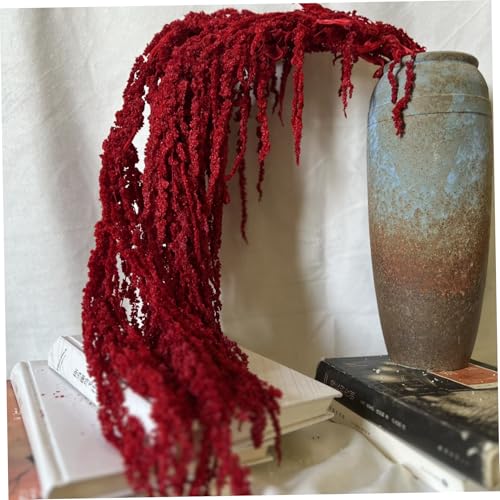 Ramo de Flores Secas Amaranthus 60-80 cm Rojo miniatura 1