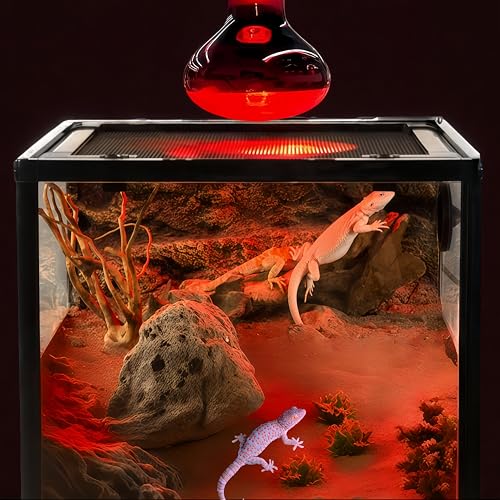 PetFizz Infrarotlampe Wärmelampe Terrarium Lampe, Reptilien Rotlichtlampe Basking Spot 100W 2Stück, E27 Terrarium Heizung für Schildkröte, Schlange, Eidechse, Bartagame