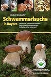heimische pilze erkennen  Schwammerlsuche in Bayern: Heimische Speise- und Giftpilze sammeln, bestimmen und verarbeiten: Heimische Speispilze sammeln, bestimmen und verarbeiten, Giftpilze sicher erkennen!