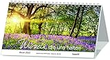  Wurzeln, die uns halten: Bäume 2022