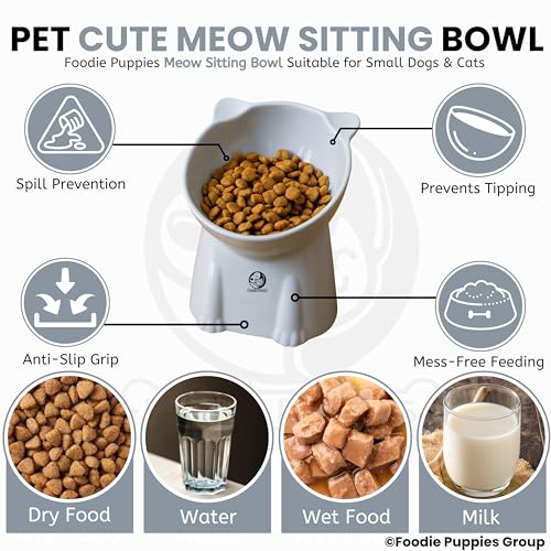 Image of Foodie Puppies Pet Elevated Food and Water Tilted Cat Bowl (Sitting Meow Bowl) | Durable, Anti Vomiting Cat Feeder for Persian Cats Prevent Tipping Over | Elevated Feeder for Cats, Kittens & Puppies