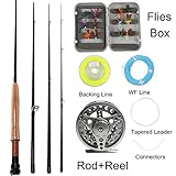 Sougayilang Saltwater Freshwater Fly Fishing Rod with Reel Lines Flies Combo Kit (Silver Fishing Kits)