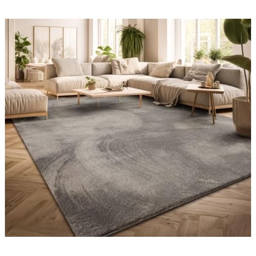 TT Home Tapis Poil Ras Tapis De Salon Monochrome Design Moderne Lavable, Couleur: Gris, Dimension:160x220 cm