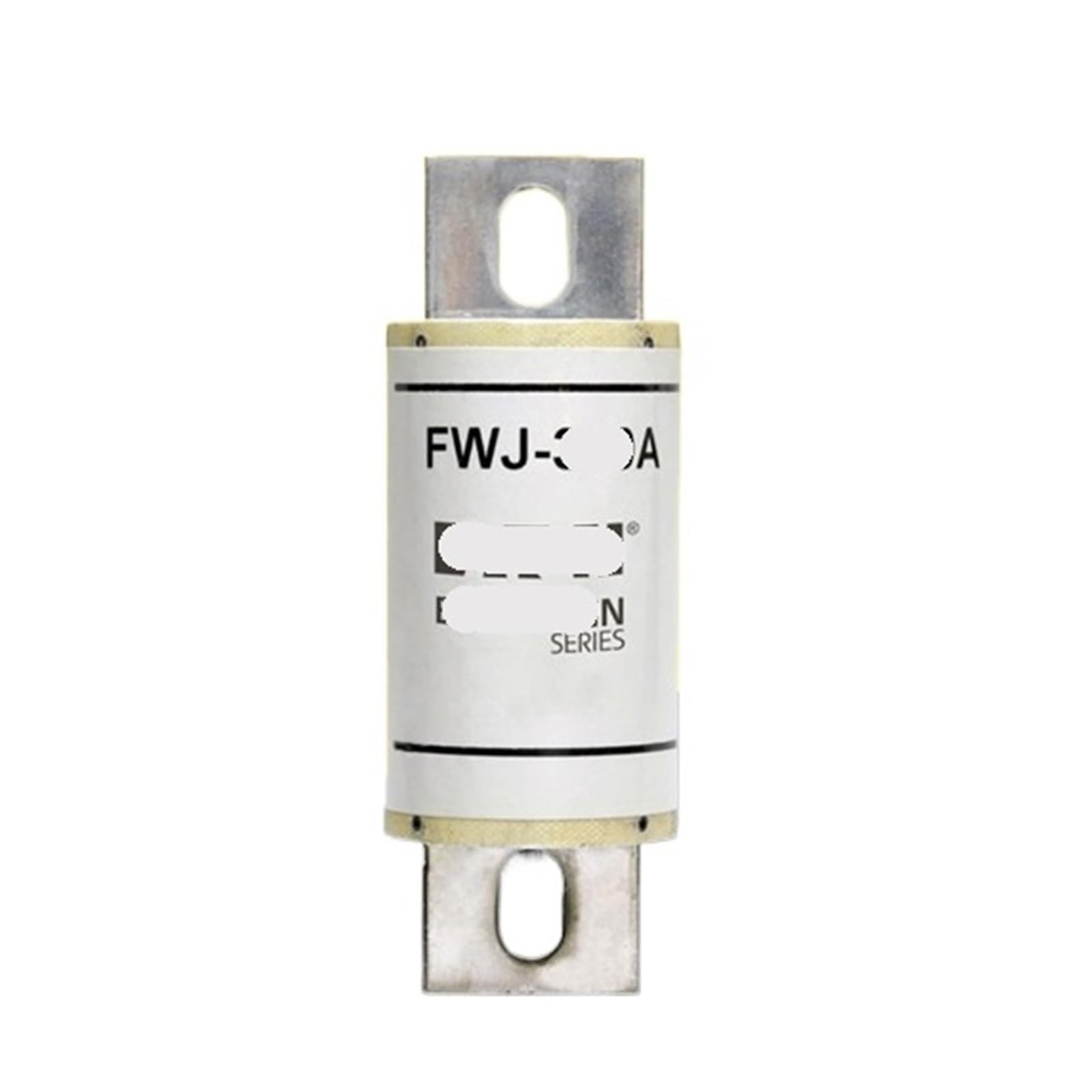 Fuse FWJ-1400A, FWJ-1000A Fuse FWJ-1400A, FWJ-1000A fuse(FWJ-1400A)