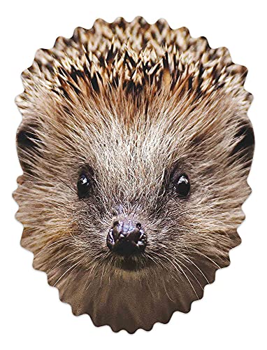 empireposter Masque animal - Hérisson - Masque en carton - Carton brillant avec trous pour les yeux - 30 x 21 cm