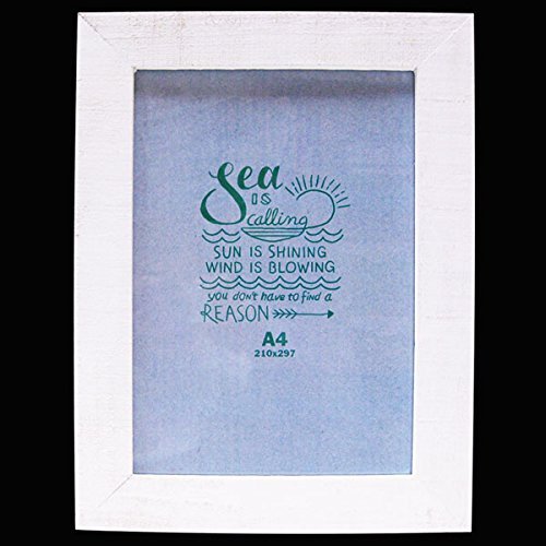 yJtHjA tHgt[ A4TCY/|X^[ t[/ʐ^āiKS/WHjzCݕCeA j ̓  AeB[N AJG AJG C