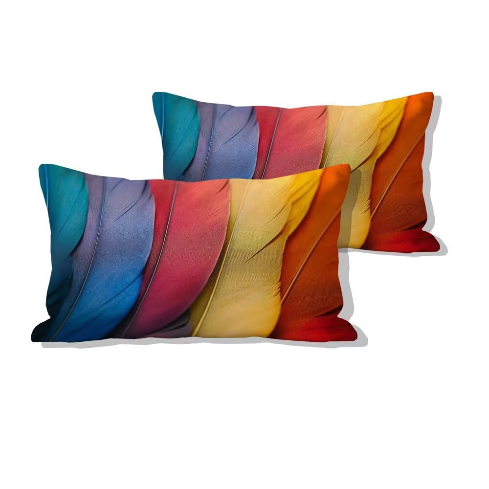 Taie d'oreiller 50x90cm moderne en velours doux, idée de cadeaux pour dames 0u-53