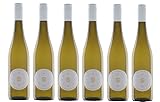 punica Alkohol - bitte erst ab 18 Jahren!