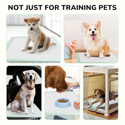 Image of Puppy Pee Pads 100PCS Disposable Pet Toilet Training Pads 18 inch x 13 inch for Dogs, Ultra Absorbent|Quick Dry|Leak-Proof Pet Potty Pads for Dog, Cat, Rabbits and Guinea Pigs (Green)