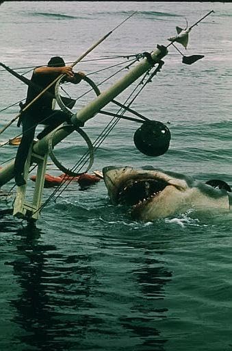 Jaws (1975) - Image 7