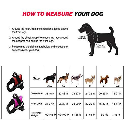 Fayogoo Dog Vest Harness For Service Dogs, Comfortable Padded Dog Training Vest With Reflective Patches And Handle For Large Medium Small Dogs #TOP3