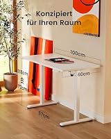 ErGear Höhenverstellbarer Schreibtisch 100x60cm 4-Speicher Geteilte Platte – Ansicht 3