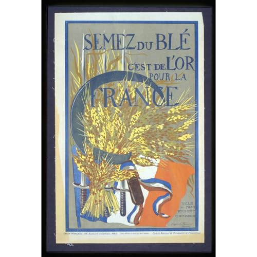 Art décoratif durable poster français toile vintage couleurs intenses